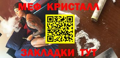 индика Кингисепп