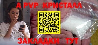 индика Кингисепп