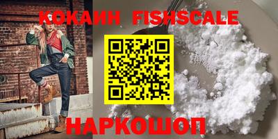 индика Кингисепп