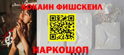 индика Кингисепп