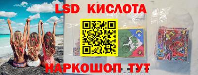 индика Кингисепп
