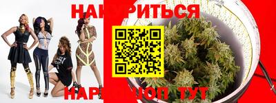 индика Кингисепп