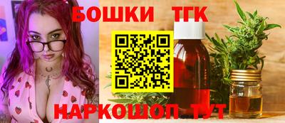 индика Кингисепп
