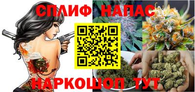 индика Кингисепп
