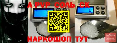 индика Кингисепп