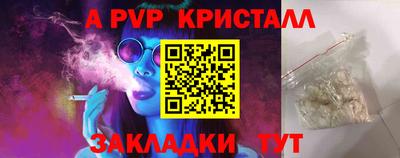 индика Кингисепп