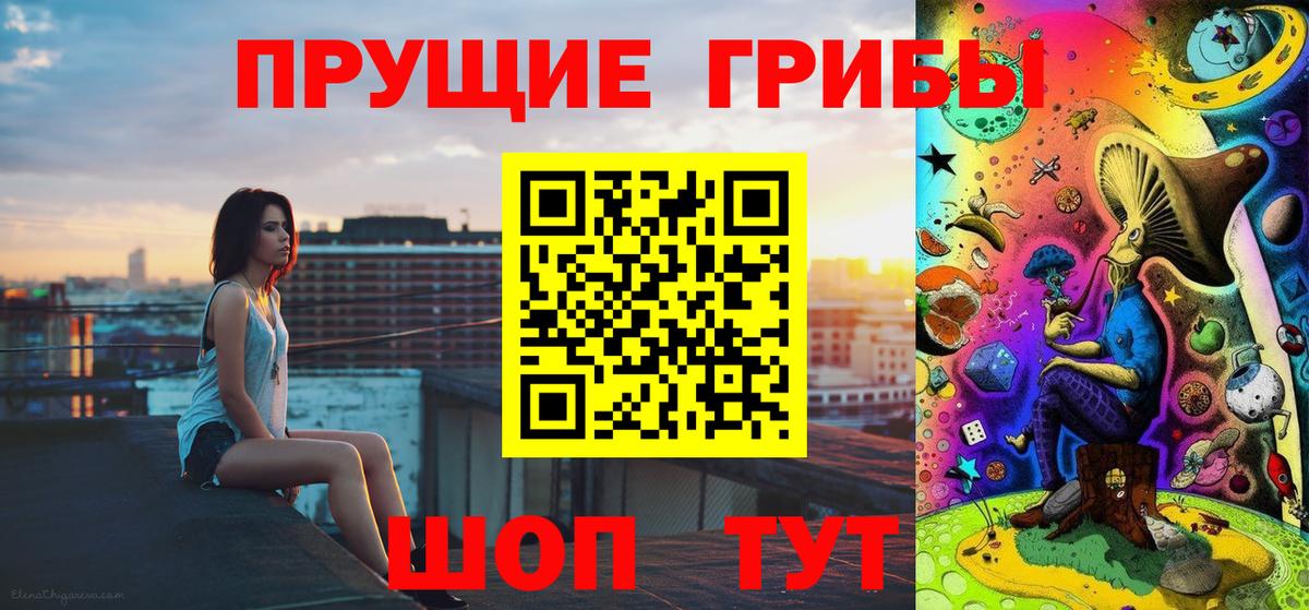 Псилоцибиновые грибы мицелий Елец