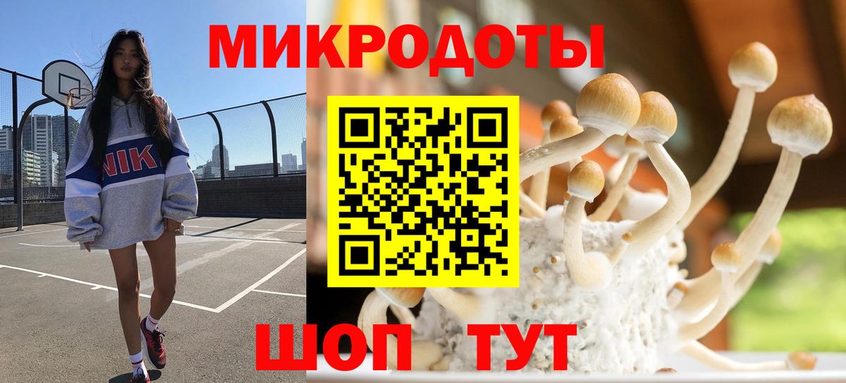 купить наркотик  Вход с VPN  Елец  Псилоцибиновые грибы Psilocybe 